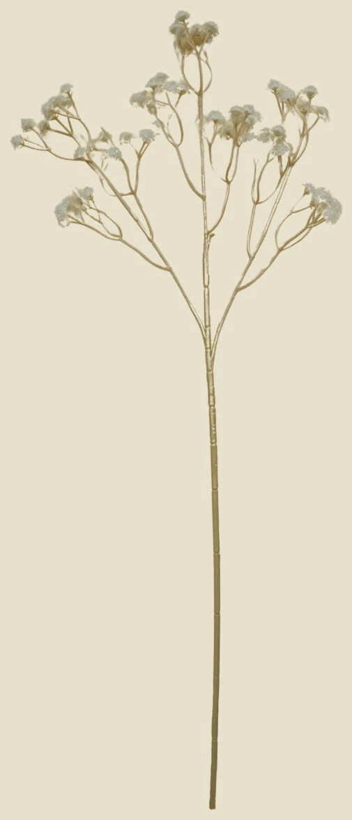 Gypso New White Big Buds 56cm